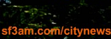 sf3am.com/citynews